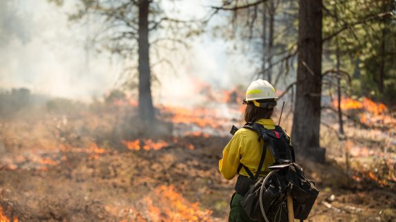 Firefighter in front of a wildfire.