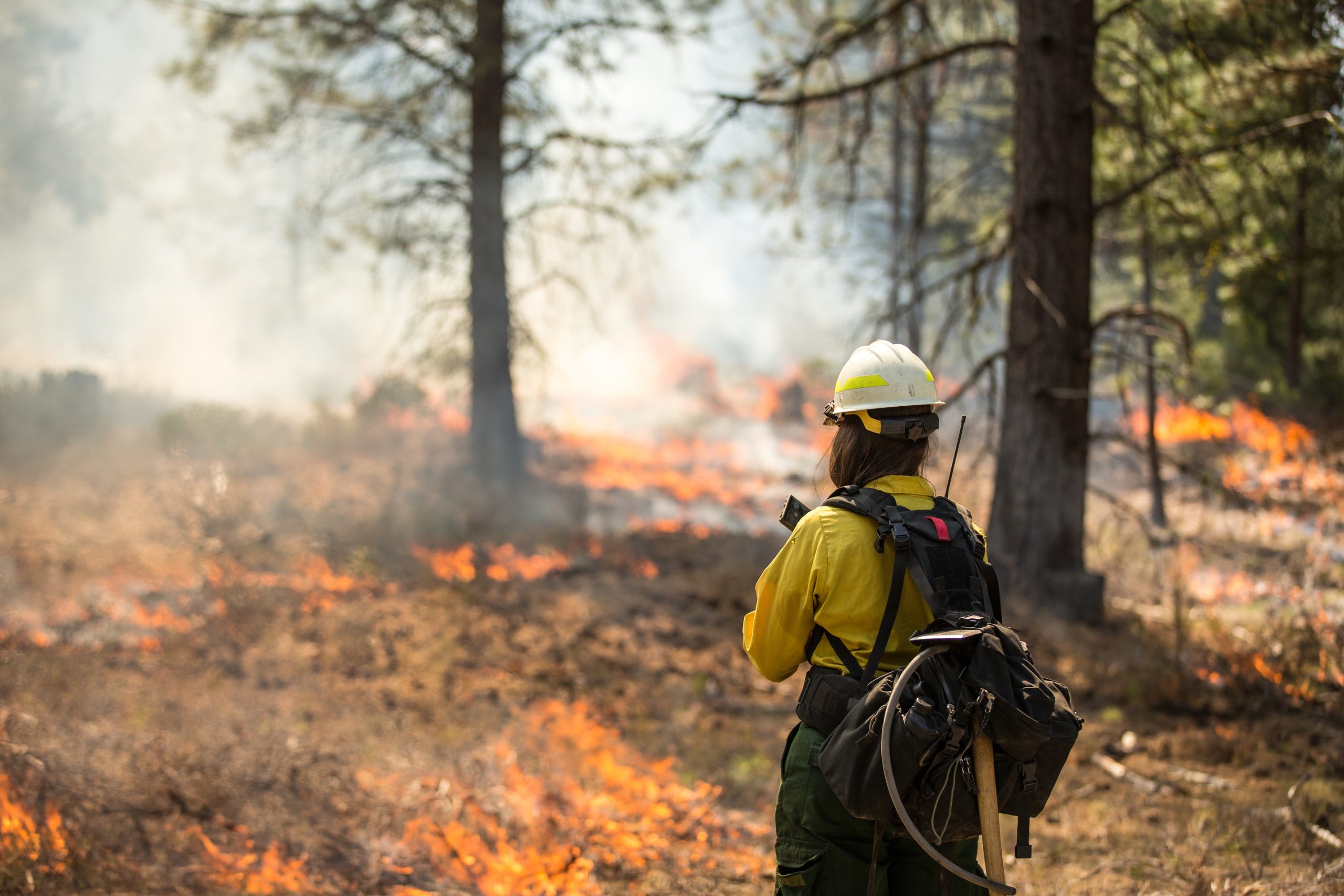 Firefighter in front of a wildfire.