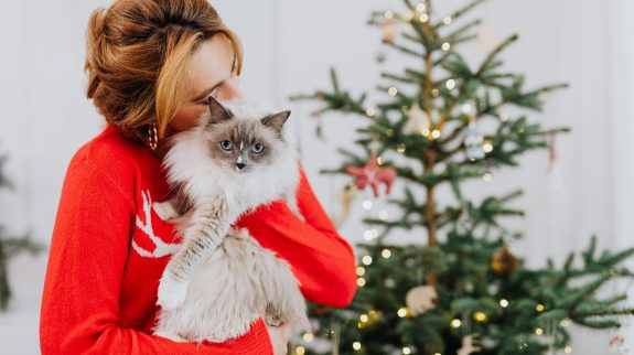 a lady hugs a cat in front of Christmas tree to avoid holiday hazards