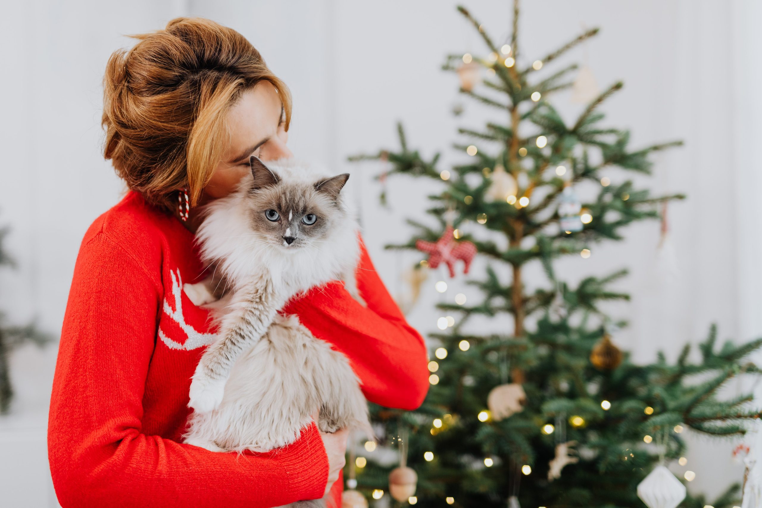 a lady hugs a cat in front of Christmas tree to avoid holiday hazards