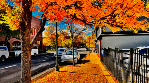 Commercial street in autumn with bright orange and yellow trees, fallen leaves covering the sidewalk, parked cars, and business buildings, highlighting seasonal maintenance and property upkeep for business owners.